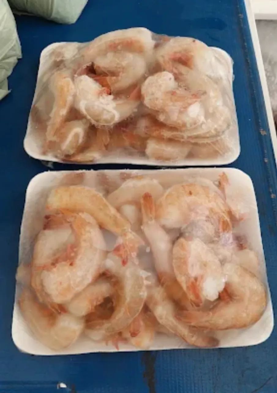 Camarão Rosa - Foto 2