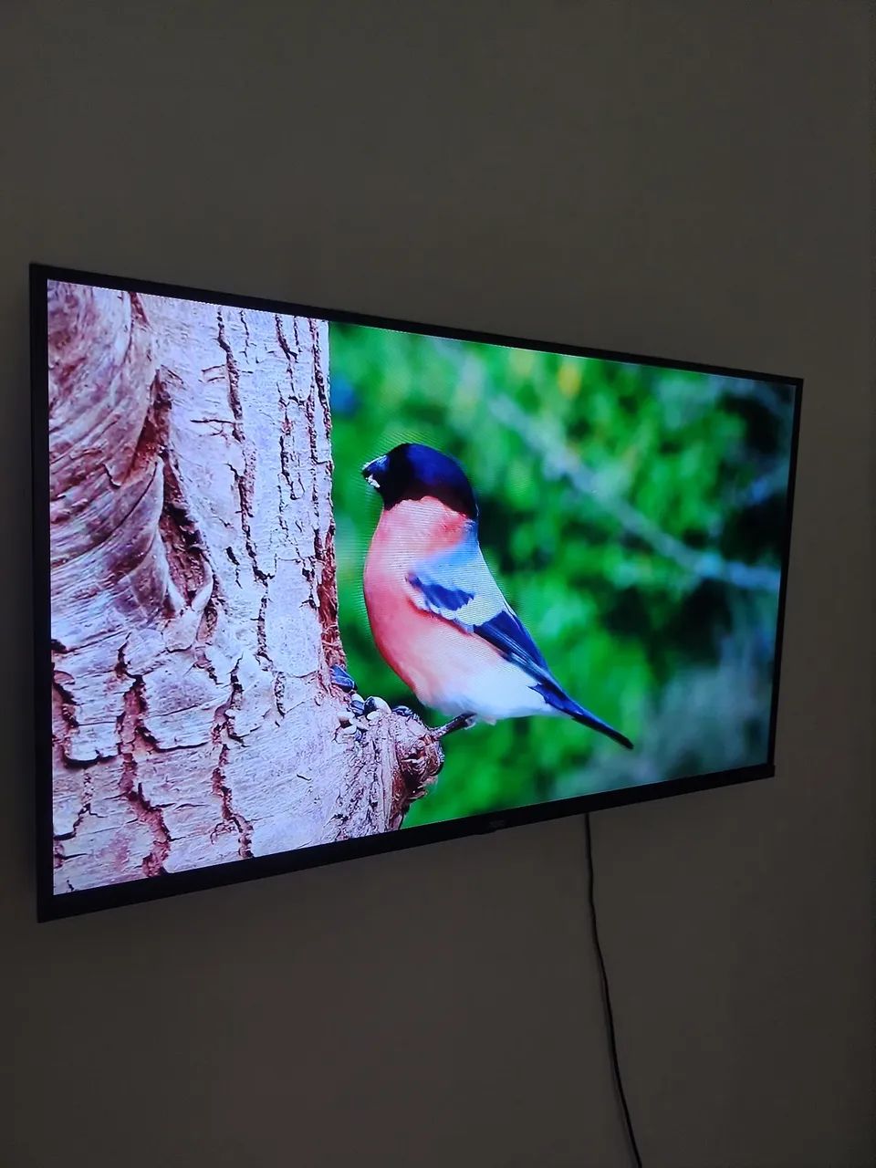 Tv aoc smart roku 43 polegadas  - Foto 2