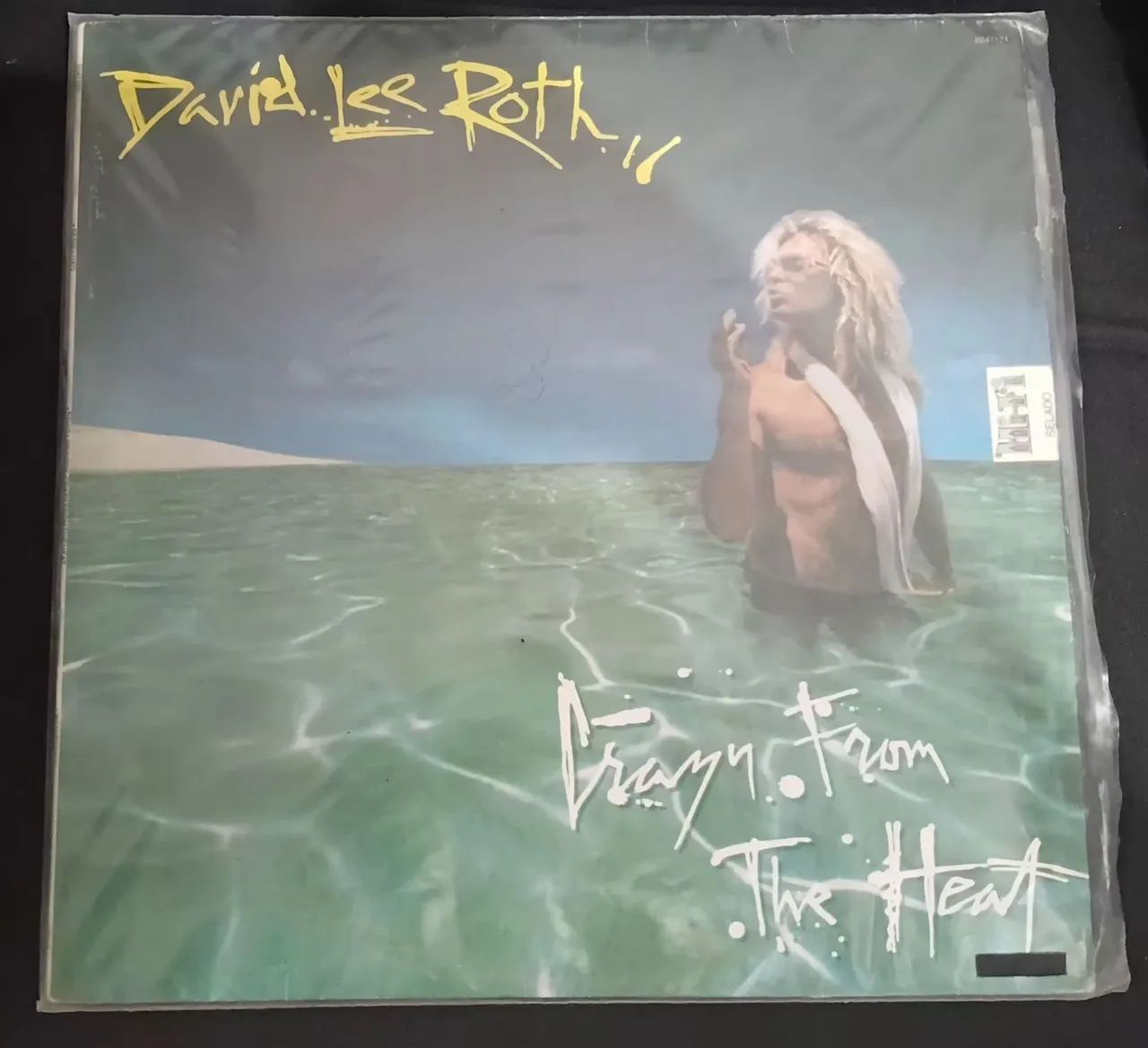 OPORTUNIDADE. Discos de vinil de Rock. LEIA a descrição. - Foto 5