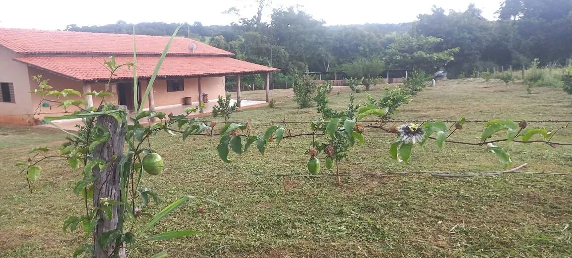 Fazenda à venda no bairro Centro - Itauçu/GO - Foto 2