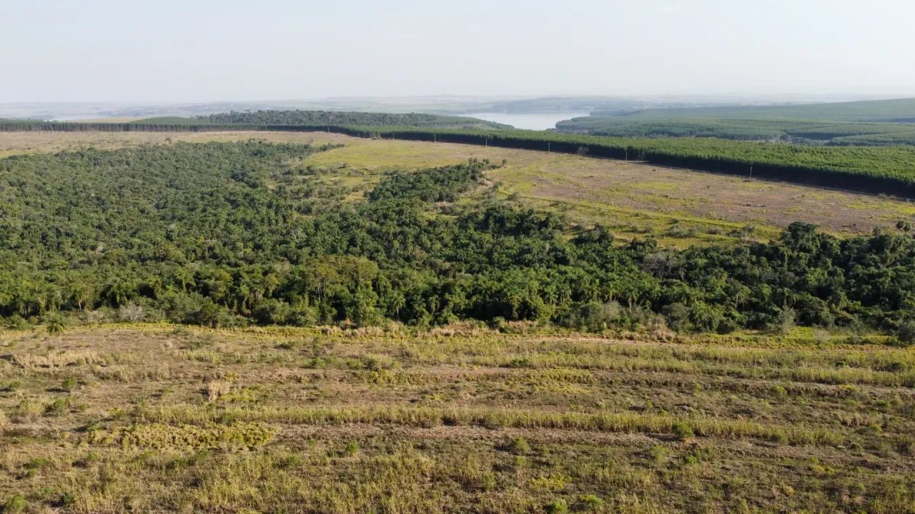 Fazenda  Santa Maria da Serra SP - Foto 4