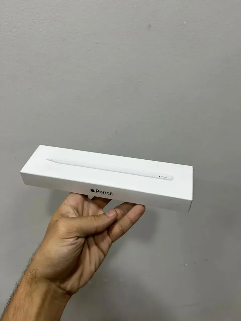 Apple Pencil 2a Geração Caneta original
