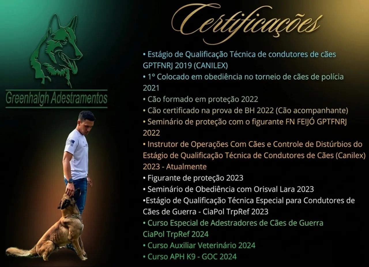 Adestrador de cães  - Foto 2
