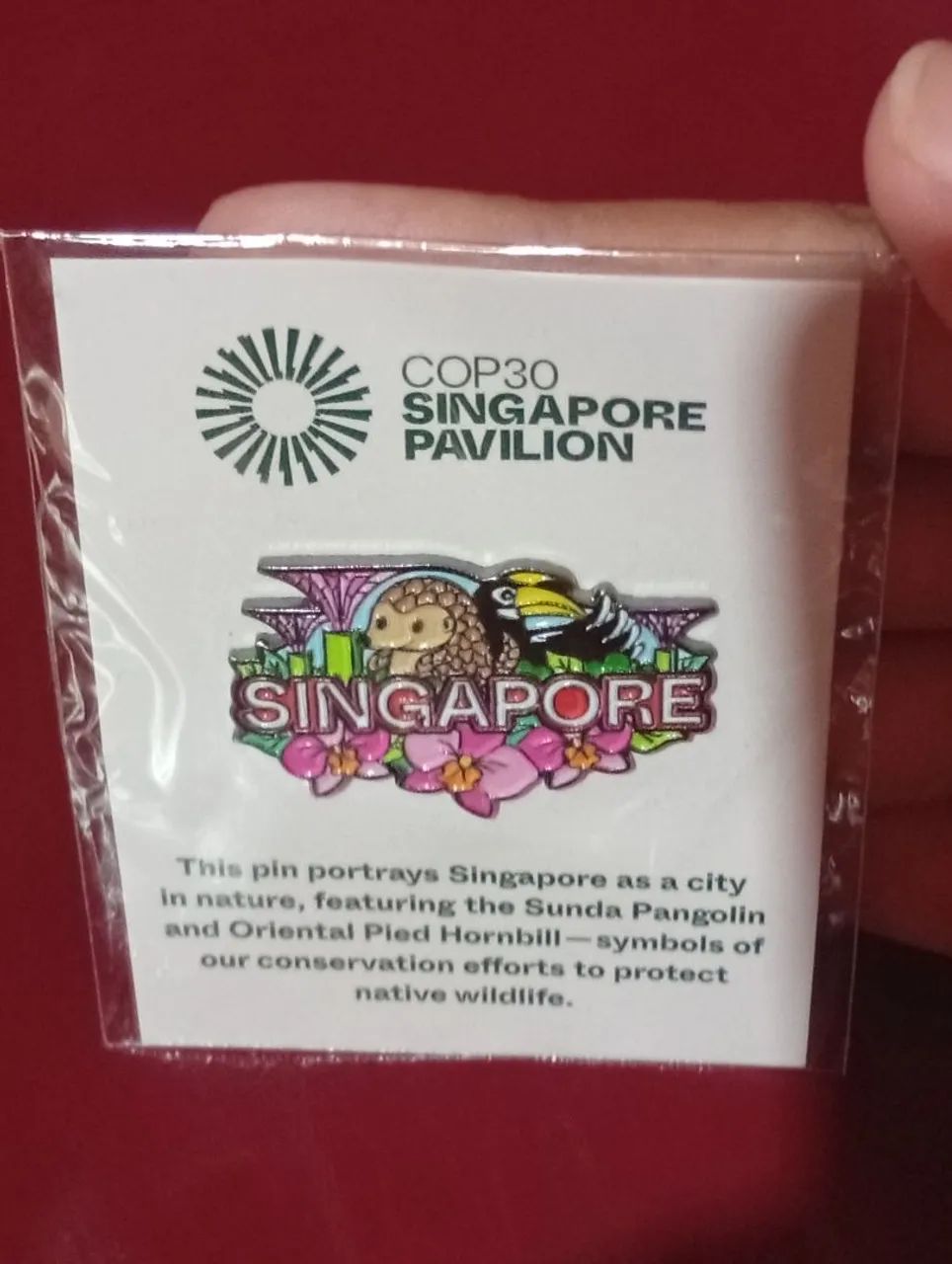 Pin Singapura COP30 Exclusivo Lacrado - Foto 4