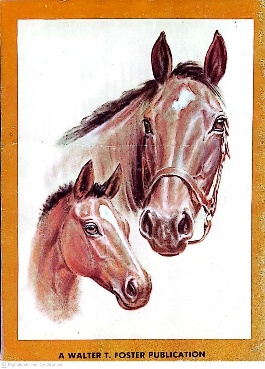2 Livros de Pintura de Arte Schwartz 1965 e cabeças de cavalo (usado) N°135 R$ 100,00 cada - Foto 2