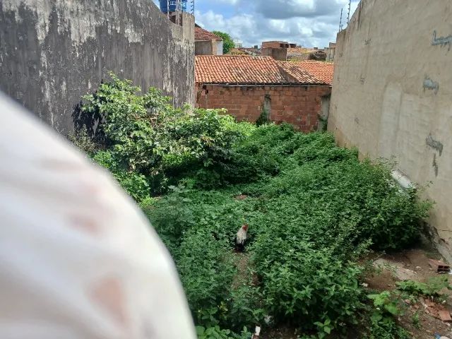 Terreno no Conj Santa Teresinha  - Foto 2