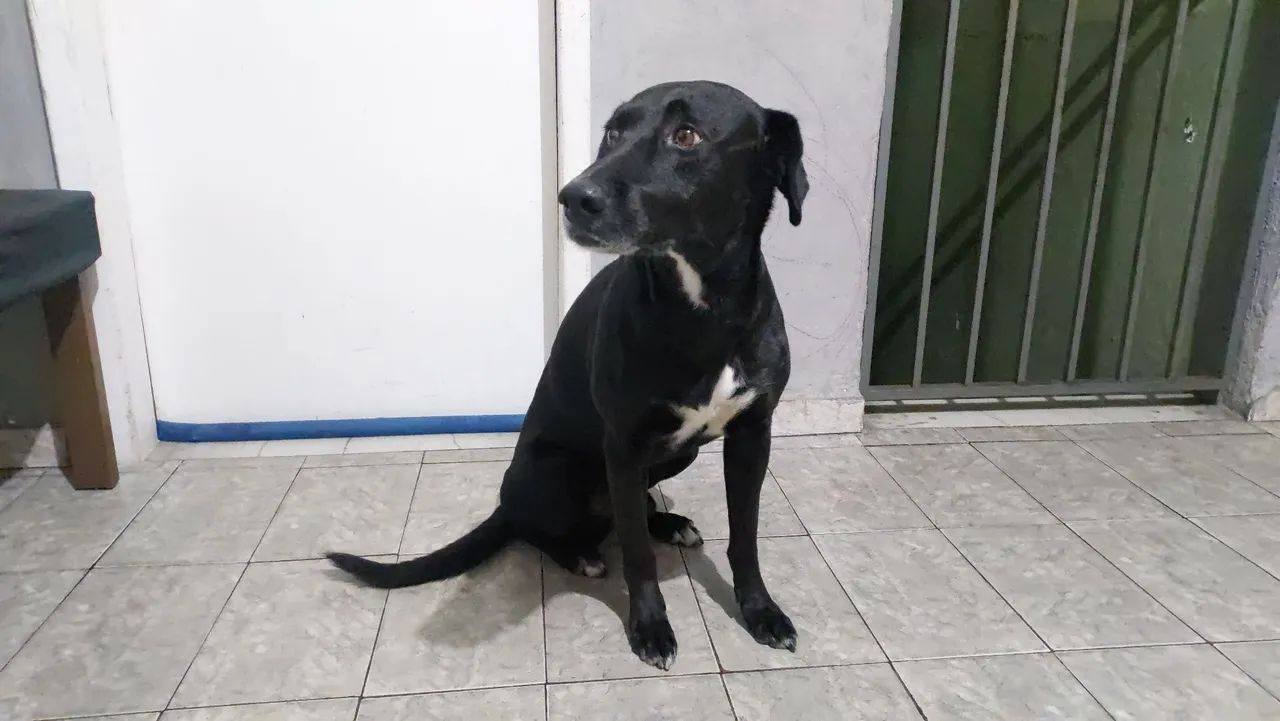 Doação