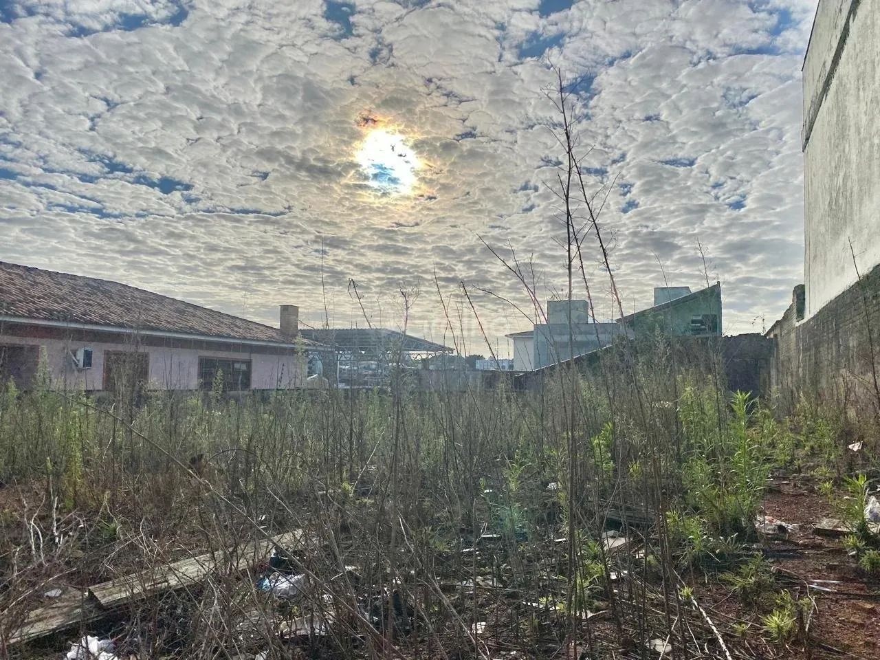 Terreno para Venda em Florianópolis, Capoeiras - Foto 4