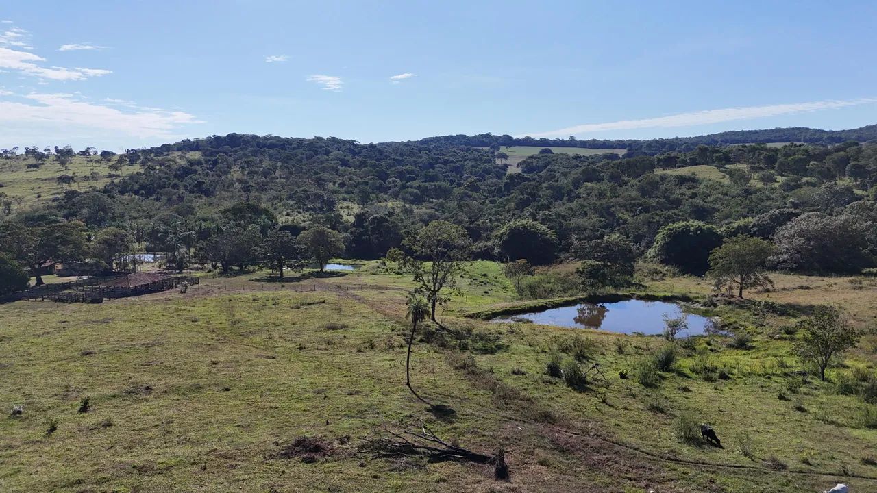 Fazenda de 31 alqueires professor jamil - Foto 4
