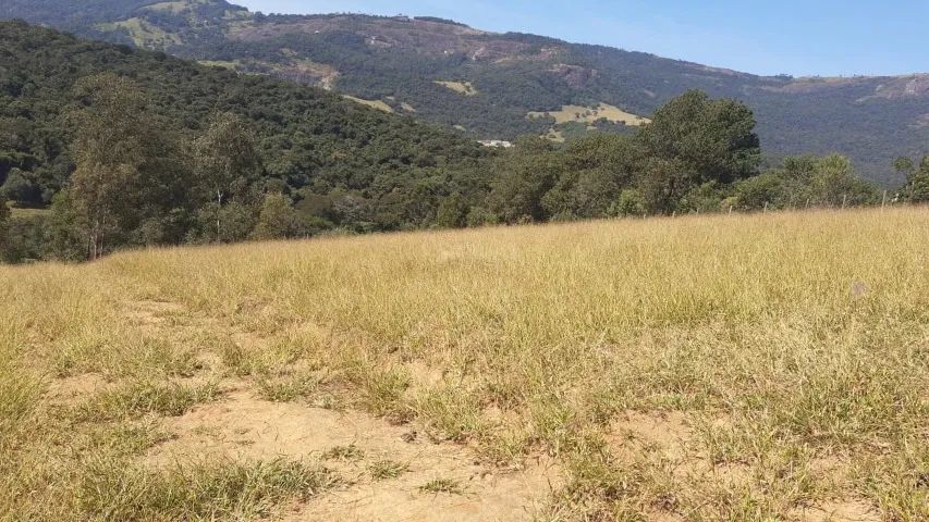 Terreno 2.000m² - Foto 2