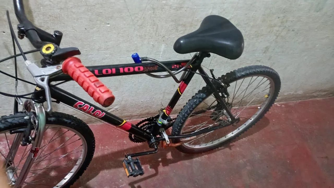 Bicicleta 