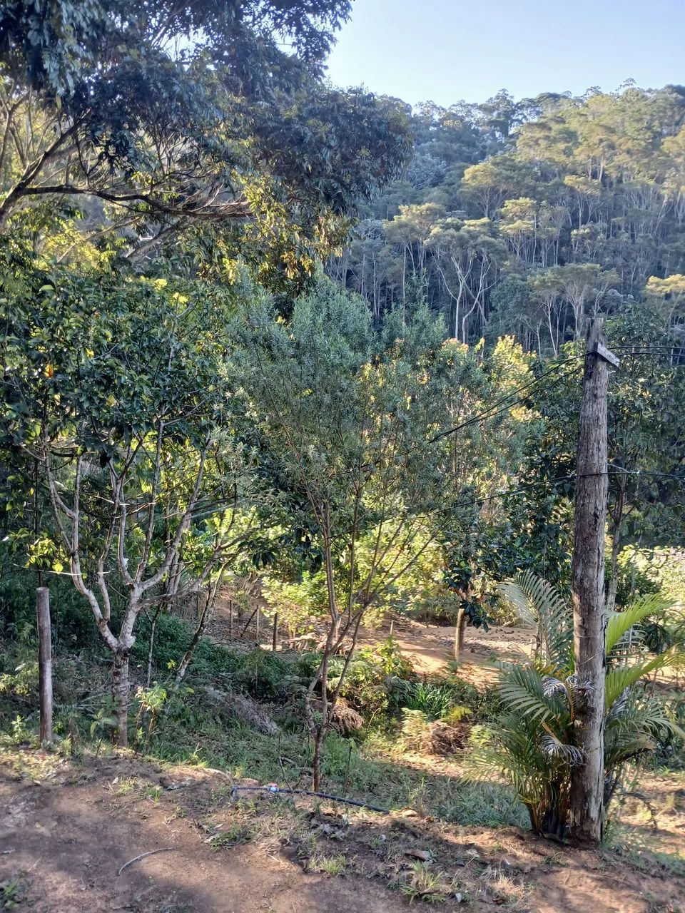 Chácara  - Foto 4