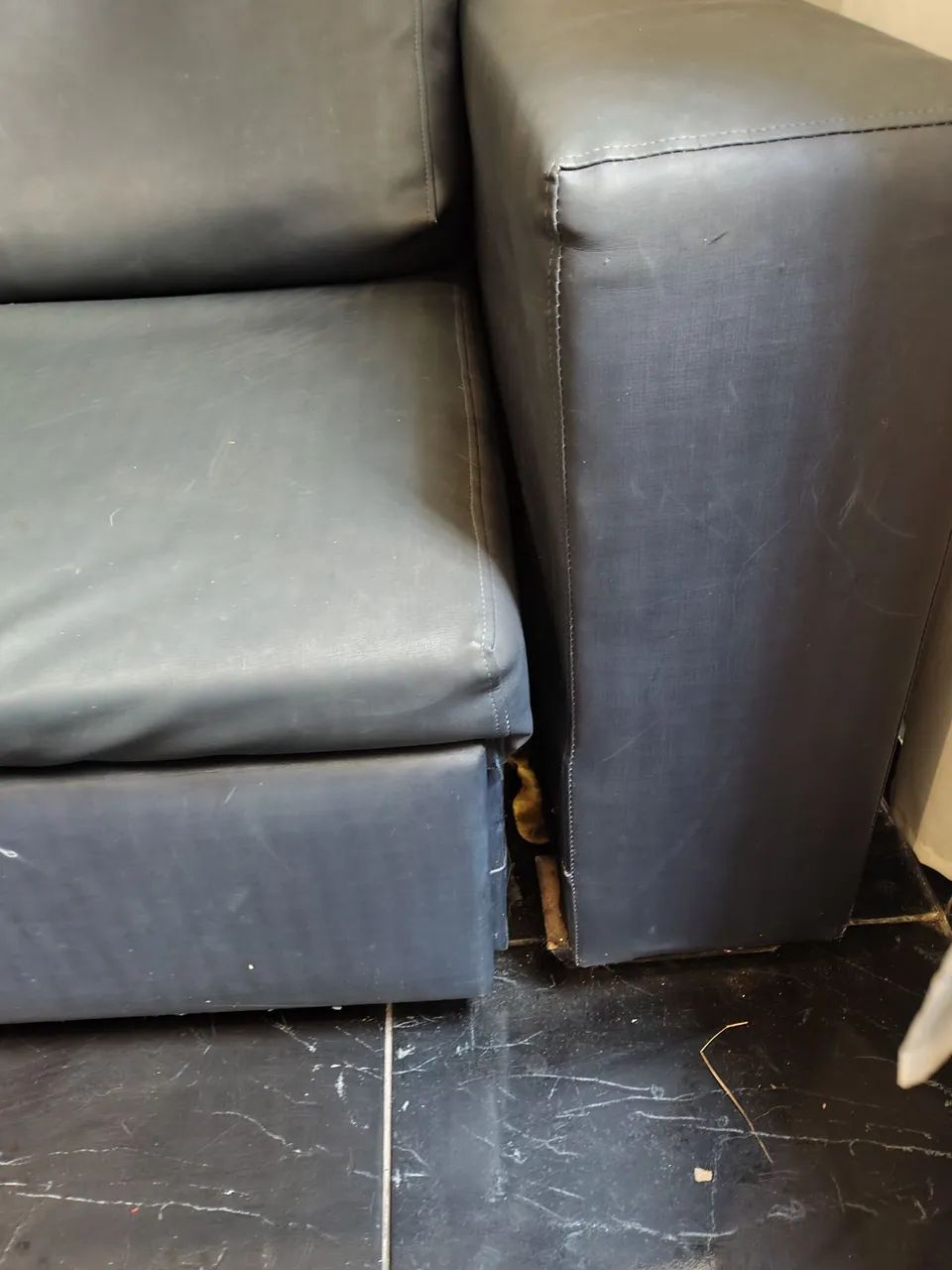 Sofá cama para reforma - Foto 2