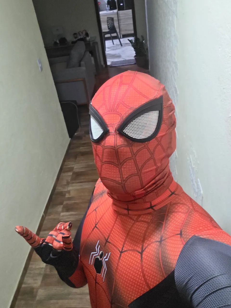 Fantasia homen aranha  - Foto 3