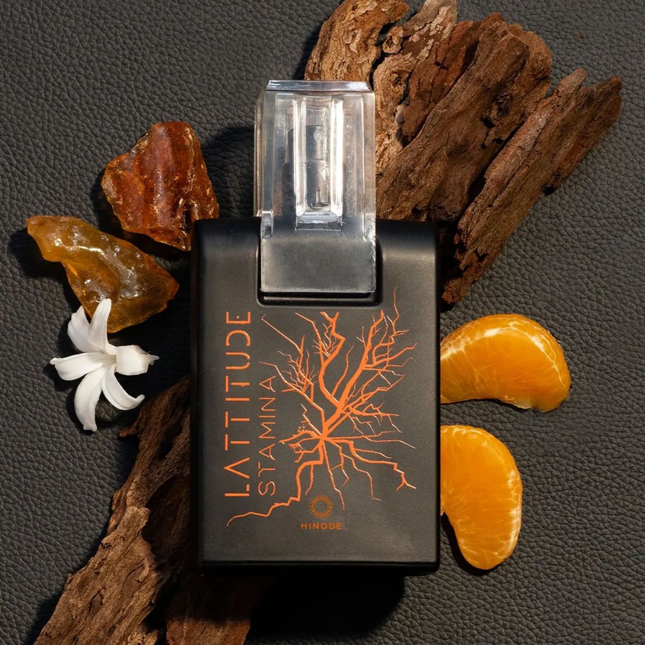 Queima de estoque Hinode Linha latittude + frete grátis  - Foto 4