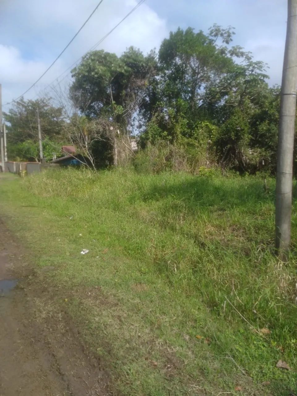 Terreno na Ilha Comprida 250m2 - Foto 5
