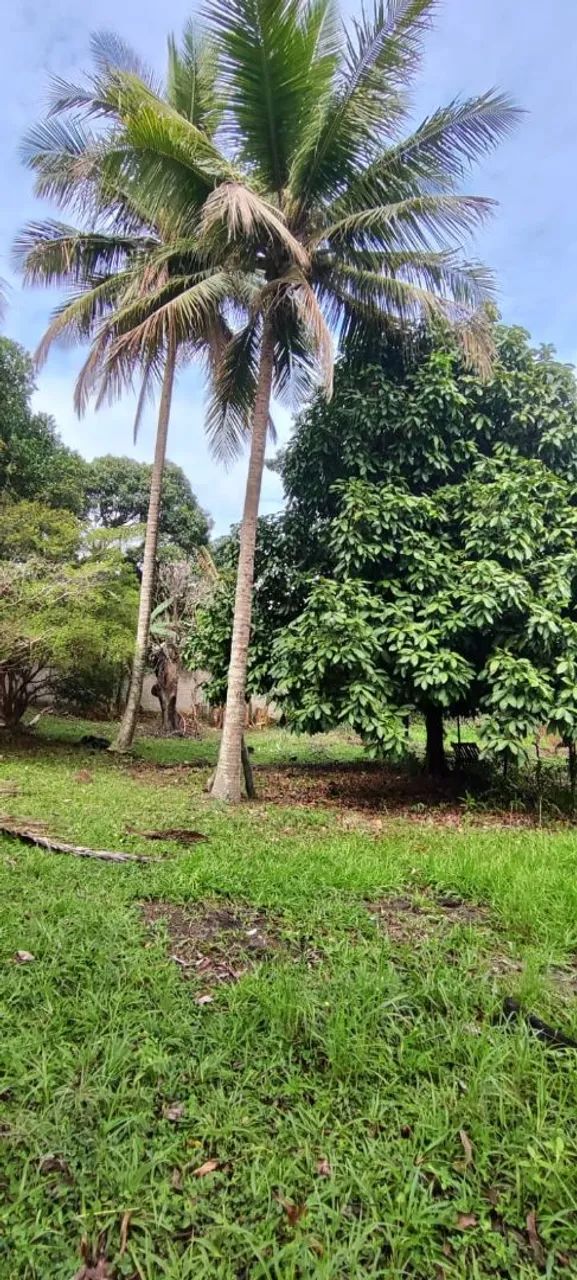 Sítio com 10.000m², 2 casas, pomar - Village do Sol, Guarapari - Foto 4
