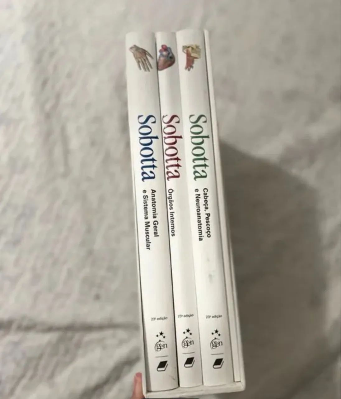 Livro sabotta de anatomia - Foto 3