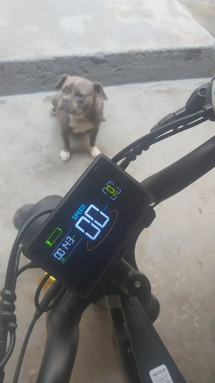 Bicicleta eletrica 