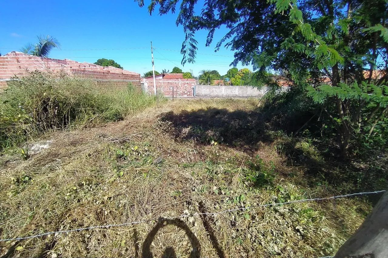 Terreno no povoado Boa Hora - Foto 5