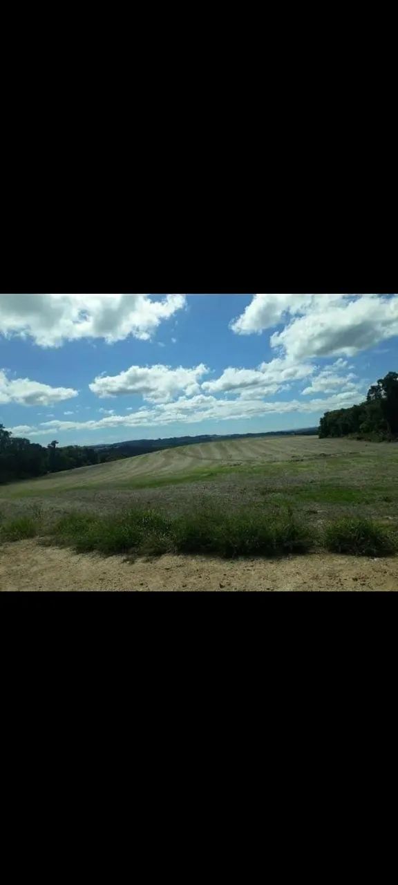 50 alqueires em Tibagi  - Foto 5