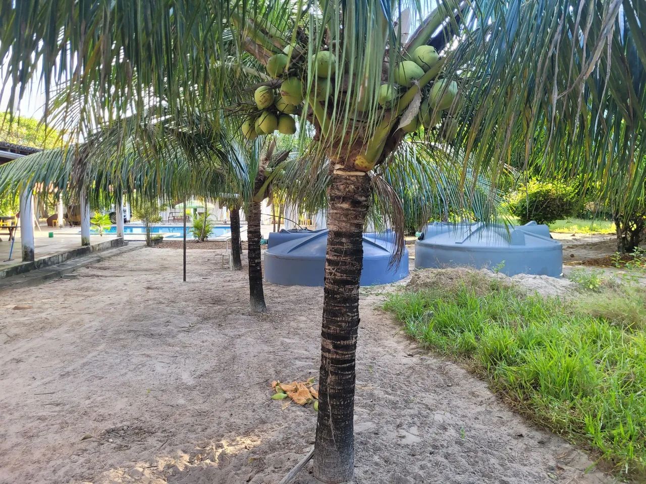 Sítio a venda no municipio trairi - Foto 2