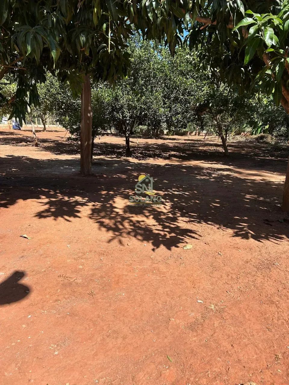 Chácara à venda, Setor Central, Indiara, GO - Foto 3