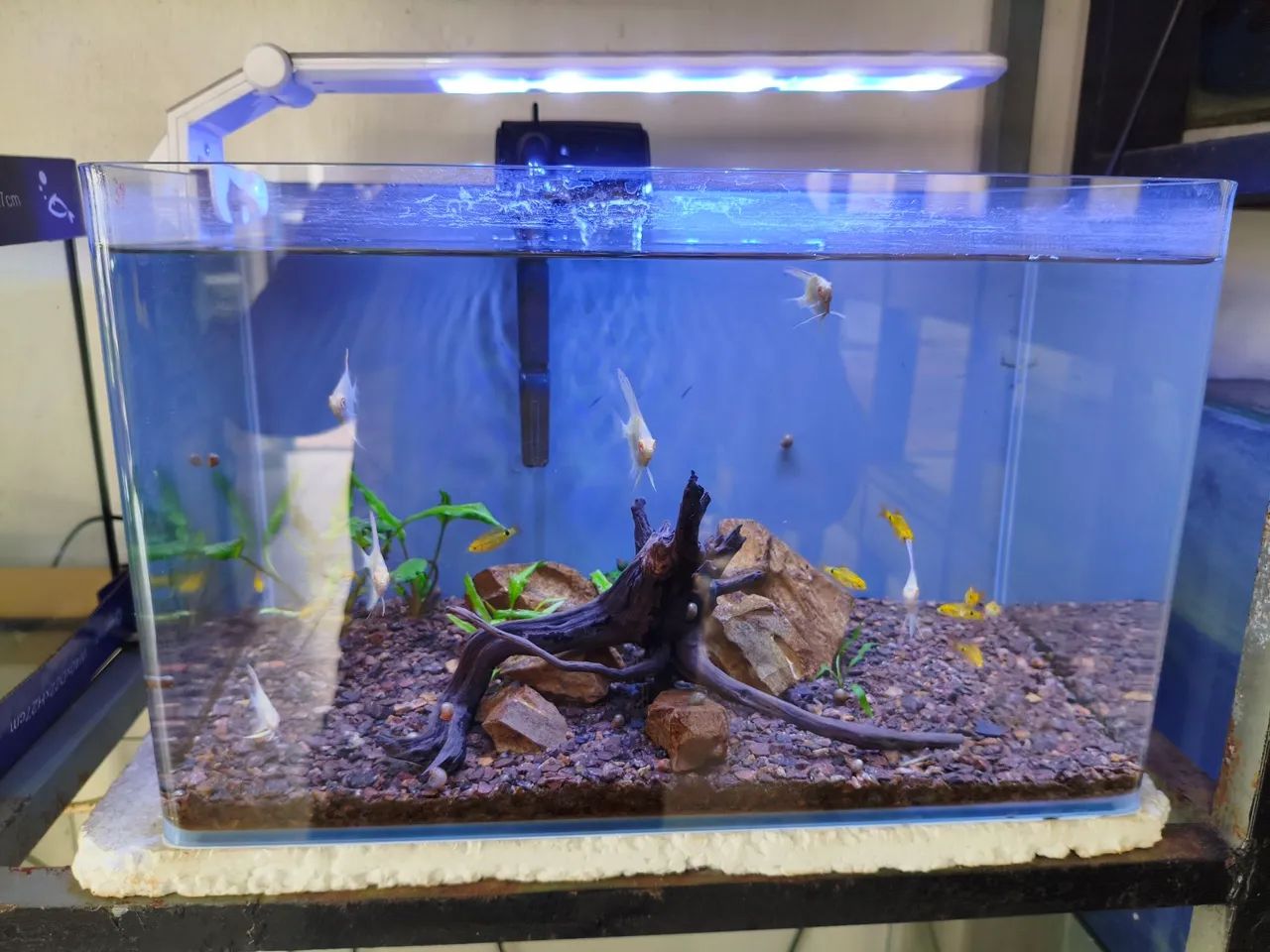 Temos vários modelos de aquários . - Foto 3