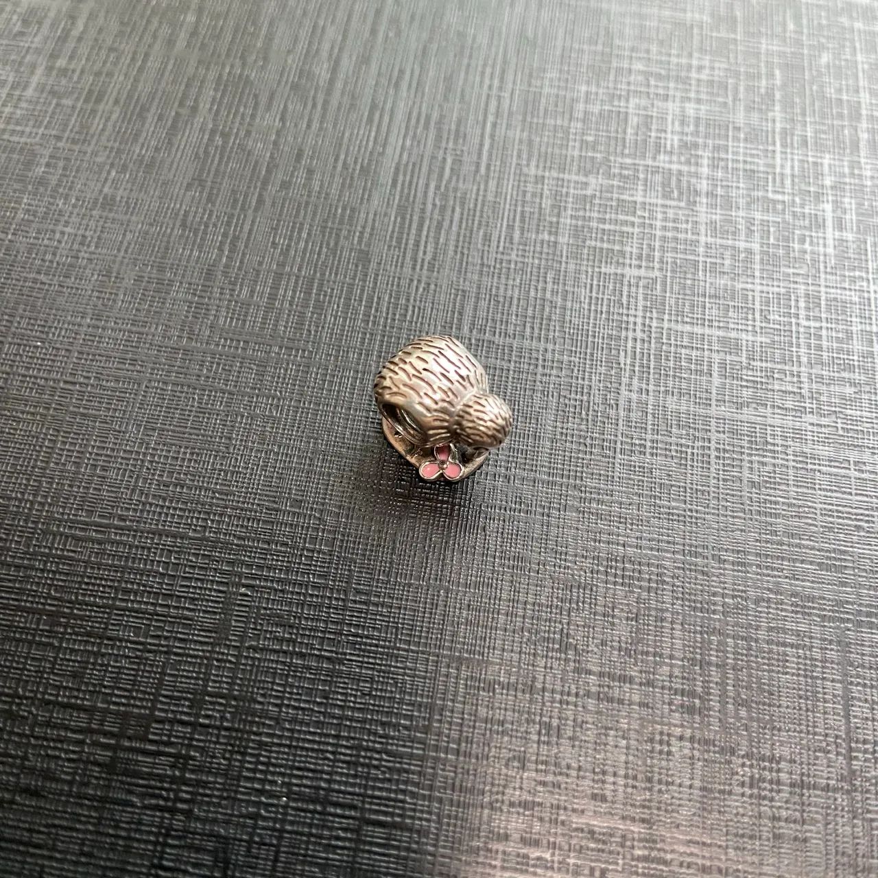 Charm Pandora - Kiwi - Pássaro/Nova zelândia - Foto 4