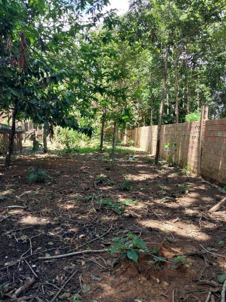 Terreno a venda em Belterra