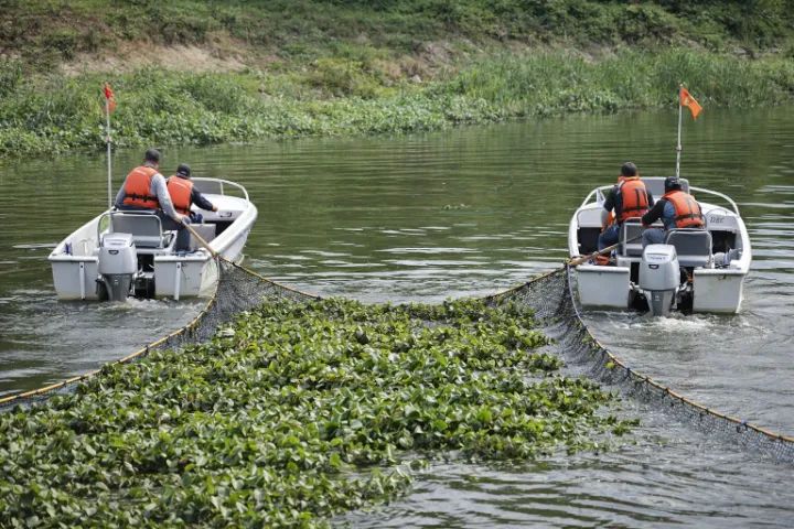 Limpeza de Lago, Represa e Vegetação Aquática - Foto 2