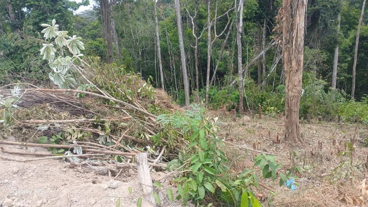 Venda ou troca - Foto 3