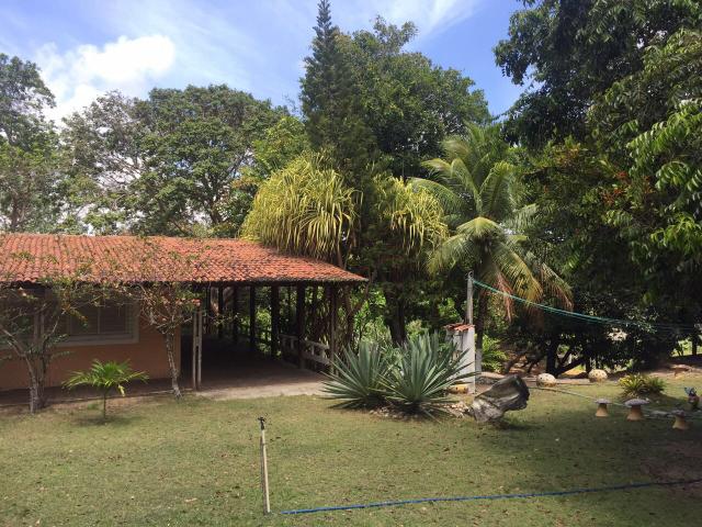 Granja pium - Foto 15