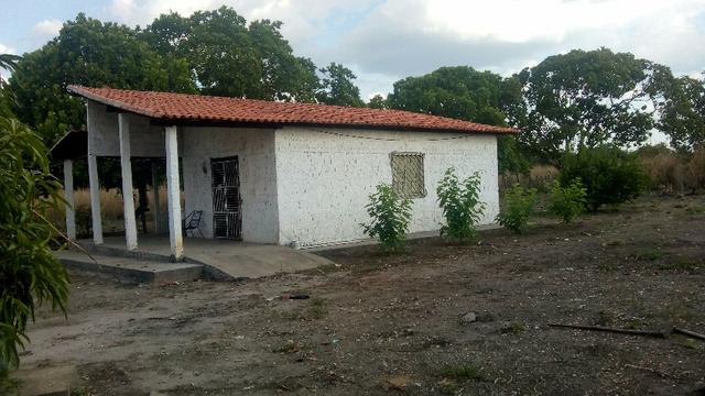 Propriedade Rural - Foto 3