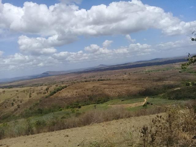 Pombos-Vend. 480 mil reais-Tem 120 Hect. Fazenda Completa,Água,Pastos, e mais - Foto 4