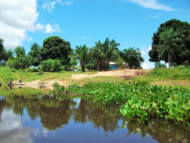 Excelente Fazenda no Pantanal do Mato Grosso do Sul - Foto 10