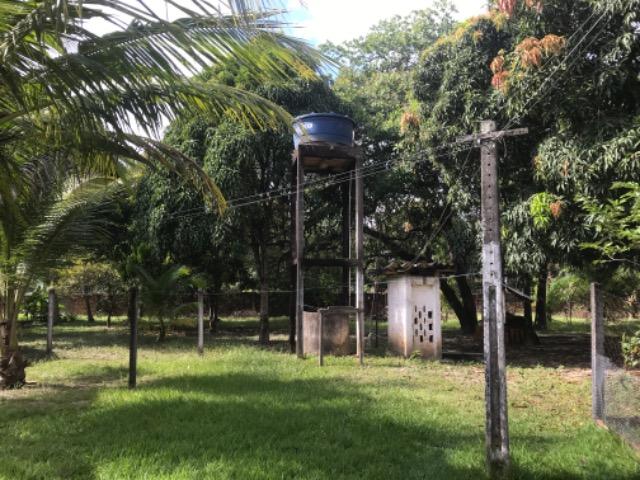 Sítio na Matinha 5000 m2 - Foto 5