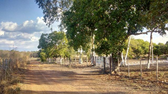 Propriedade Rural - Foto 2