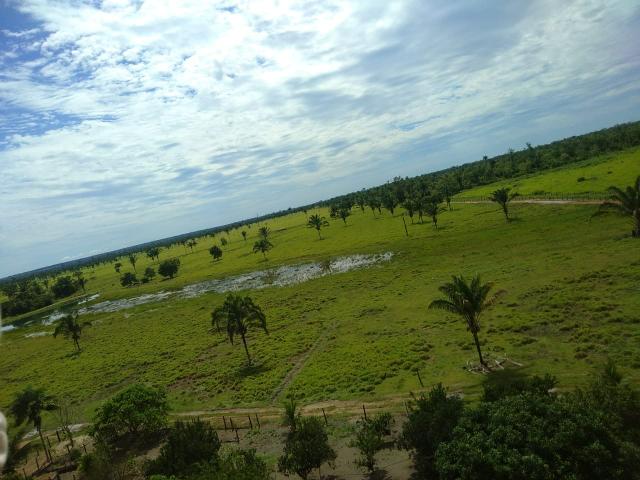 Fazenda no Pará - Foto 19