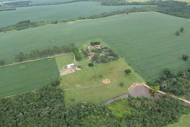 Fazenda Sonho Verde
