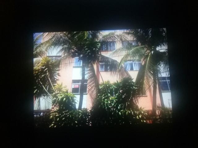 Apartamento - Foto 5