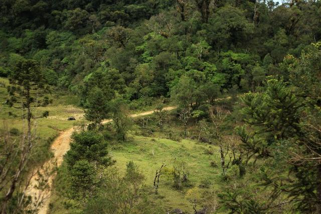 Terrenos próximo a Represa - Foto 3