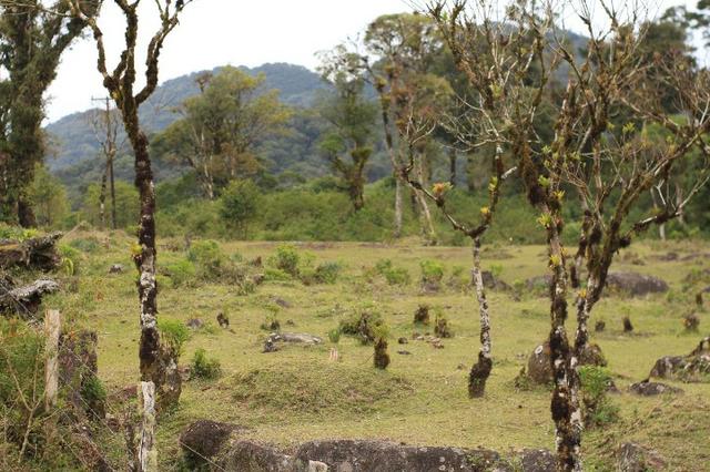 Terrenos próximo a Represa - Foto 12