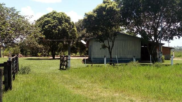 Fazenda Produtiva de Frango P/Frigor Projeto Aprovado - Nova Marilândia - 7 Km da Cidade - Foto 2