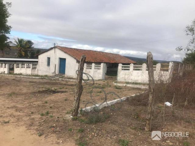 Excelente granja em são josé da mata (10 hectares) - Foto 7