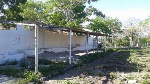 Chácara rural à venda. - Foto 4