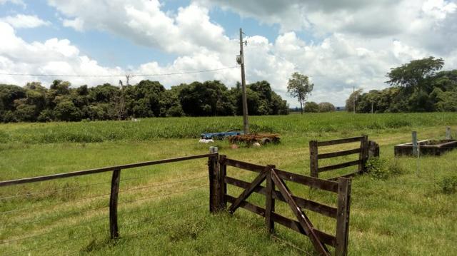 Fazenda Produtiva de Frango P/Frigor Projeto Aprovado - Nova Marilândia - 7 Km da Cidade - Foto 8