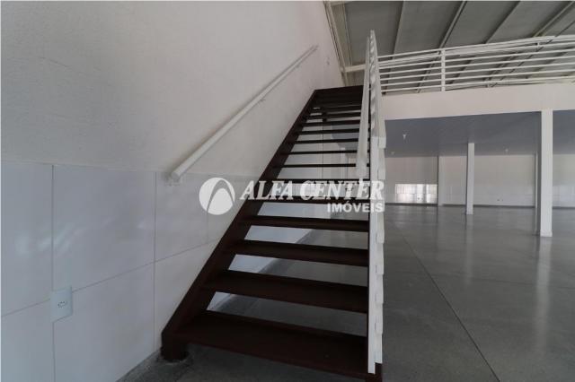 Galpão para alugar, 308 m² por r$ 4.300,00/mês - setor andréia - goiânia/go - Foto 9