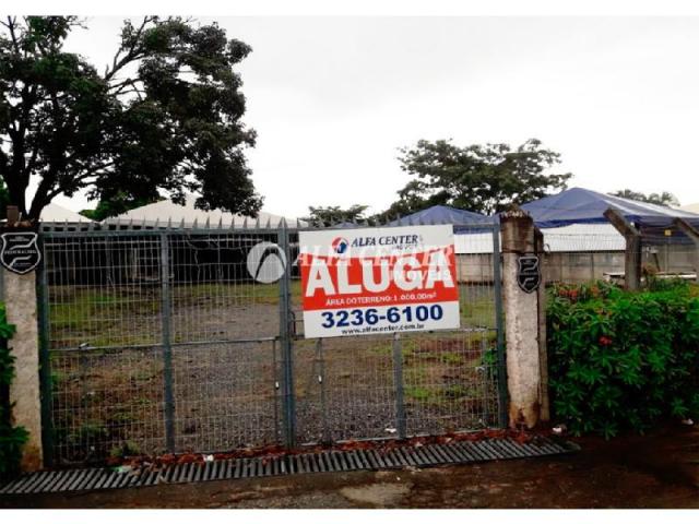 Área para alugar, 1000 m² por r$ 2.000/mês - setor castelo branco - goiânia/go