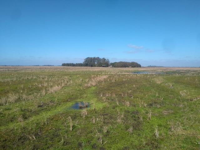 Área de terra 154 ha em Mostardas-Rs - Foto 5